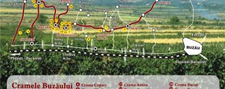 Drumul vinului: Din cramă în cramă prin Buzău